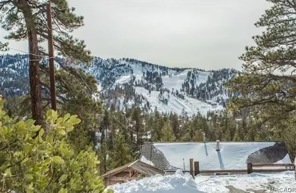 Photo of 43469 Sheephorn Road, Big Bear Lake, CA 92315 (MLS # 32600948)