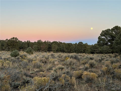 Featured picture for the property 32300014