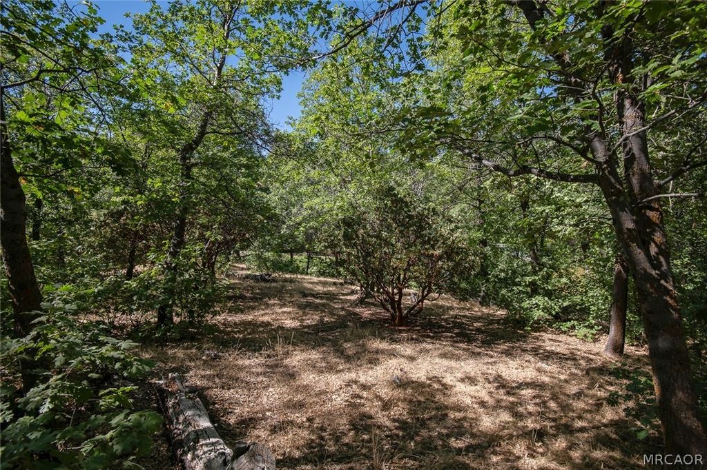 Photo of 0 North Shore Road, Lake Arrowhead, CA 92352 (MLS # 32600246)