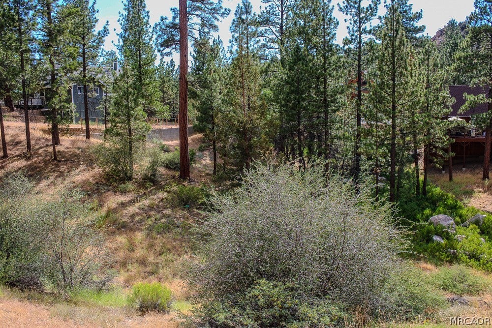 Photo of 42048 Division Drive, Big Bear Lake, CA 92315 (MLS # 32601683)