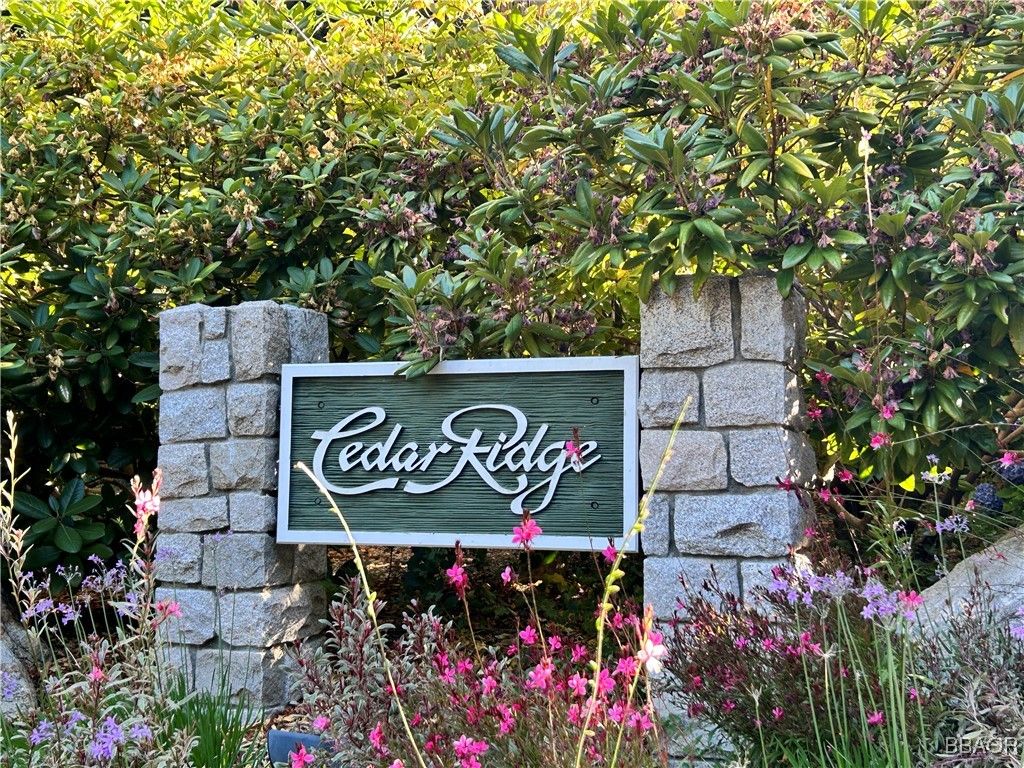 Photo of 28980 White Dove Lane, Lake Arrowhead, CA 92352 (MLS # 32502080)