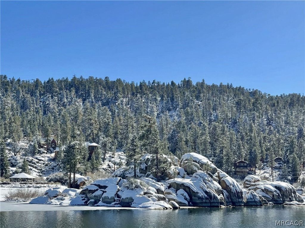 Photo of 39036 Willow Landing Road, Big Bear Lake, CA 92315 (MLS # 32502755)