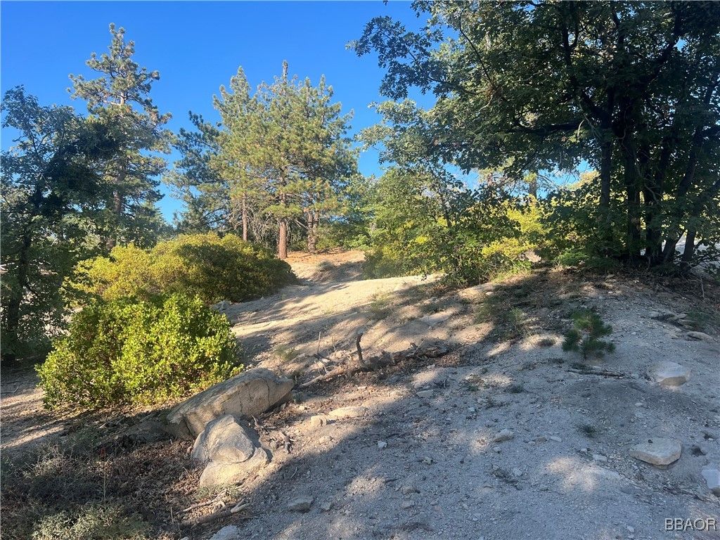 Photo of 000 Deep Creek Drive, Running Springs, CA 92382 (MLS # 32501985)