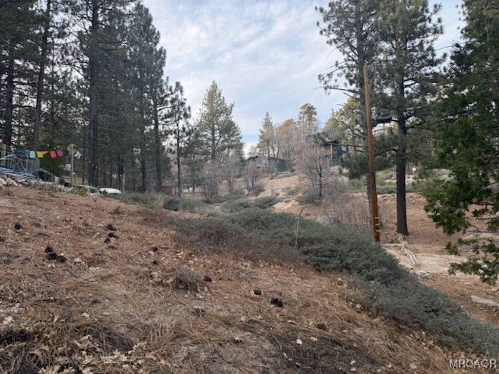 Photo of 33275 Iris Drive, Green Valley Lake, CA 92341 (MLS # 32600163)