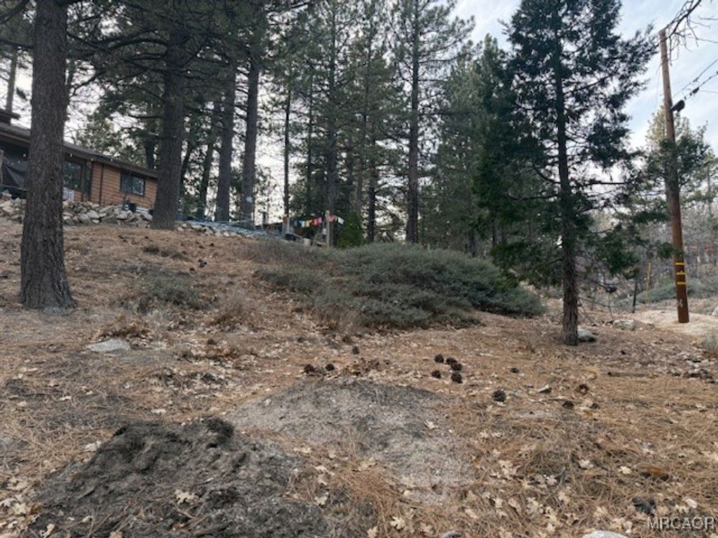 Photo of 33275 Iris Drive, Green Valley Lake, CA 92341 (MLS # 32600163)