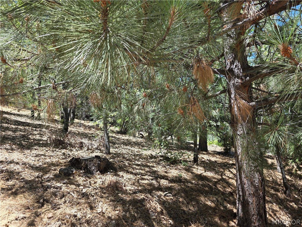 Photo of 28276 Arbon Lane, Lake Arrowhead, CA 92352 (MLS # 32601778)