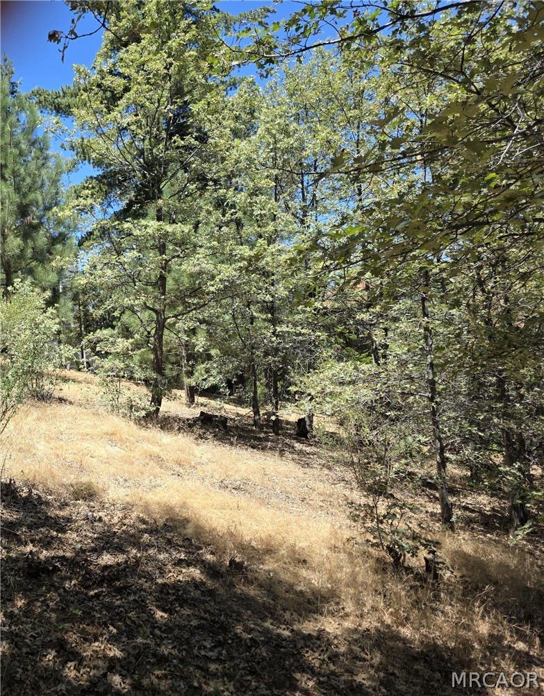 Photo of 28276 Arbon Lane, Lake Arrowhead, CA 92352 (MLS # 32601778)