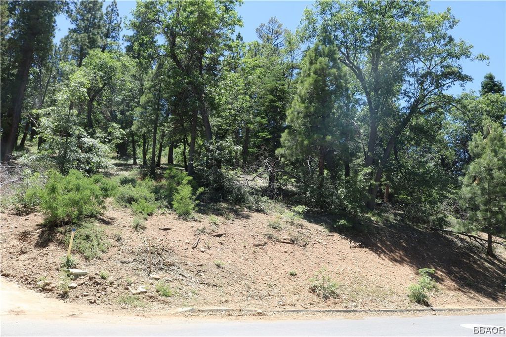 Photo of 1375 La Crescenta Drive, Big Bear City, CA 92314 (MLS # 32401331)
