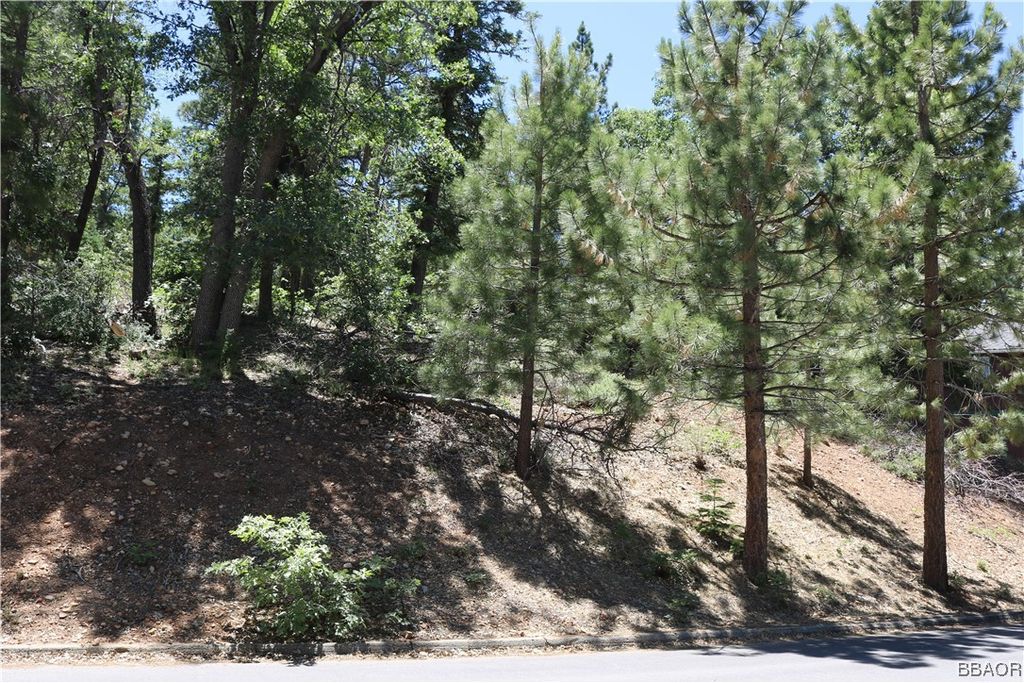 Photo of 1375 La Crescenta Drive, Big Bear City, CA 92314 (MLS # 32401331)