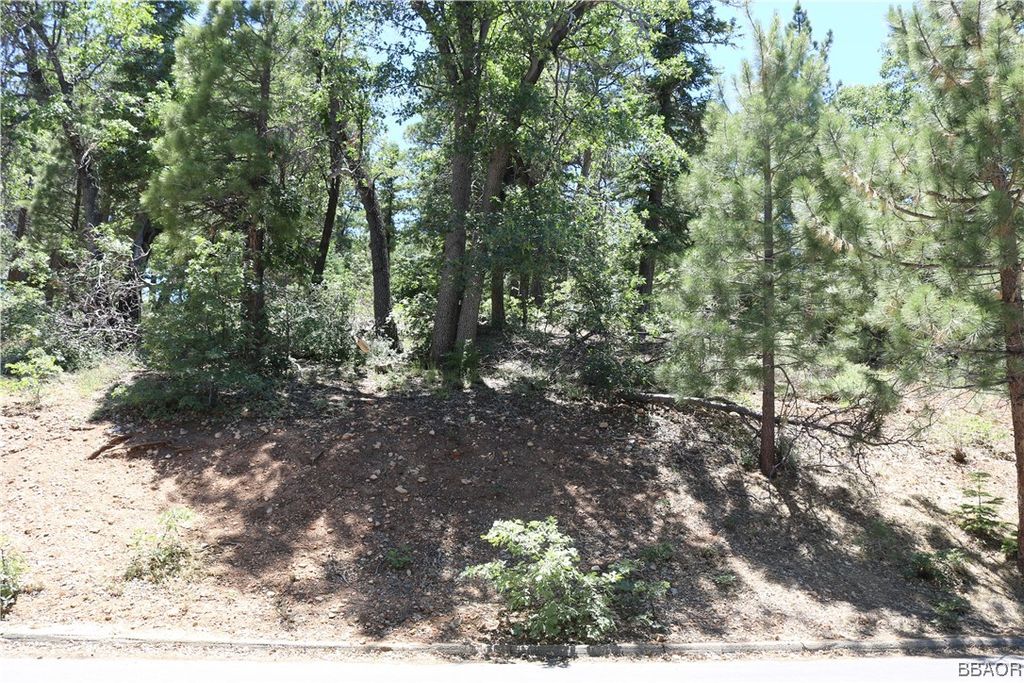 Photo of 1375 La Crescenta Drive, Big Bear City, CA 92314 (MLS # 32401331)