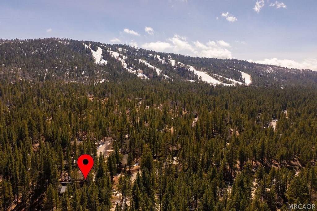 42421 Evergreen Dr, Big Bear Lake, CA, 92315, USA, 5 Bedrooms Bedrooms, ,6 BathroomsBathrooms,Residential,Contingent,42421 Evergreen Dr,32601066