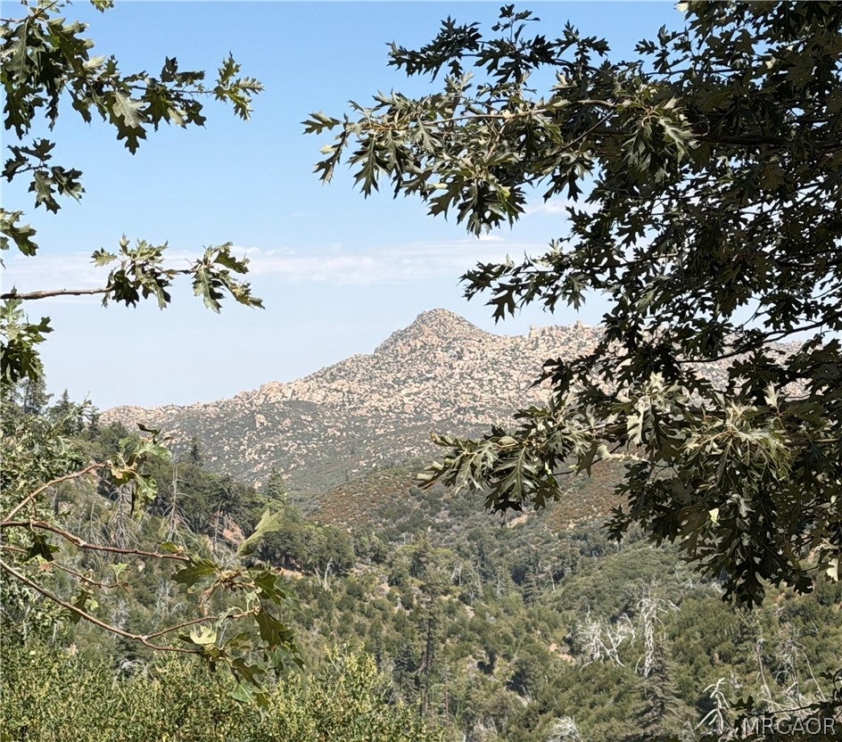 Photo of 00 Brentwood Drive, Lake Arrowhead, CA 92352 (MLS # 32601857)