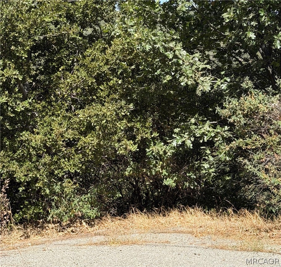 Photo of 00 Brentwood Drive, Lake Arrowhead, CA 92352 (MLS # 32601857)