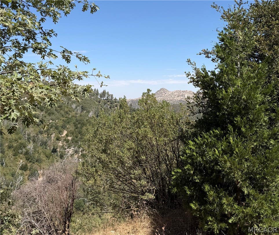 Photo of 00 Brentwood Drive, Lake Arrowhead, CA 92352 (MLS # 32601857)