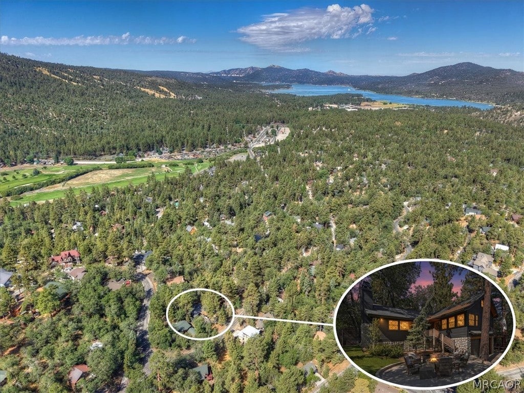 Photo of 1193 S Sheephorn Road, Fawnskin, CA 92314 (MLS # 32602035)