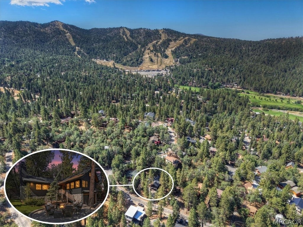 Photo of 1193 S Sheephorn Road, Fawnskin, CA 92314 (MLS # 32602035)