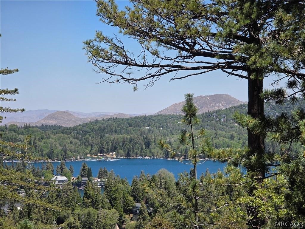 Photo of 551 Raccoon Court, Lake Arrowhead, CA 92352 (MLS # 32602061)