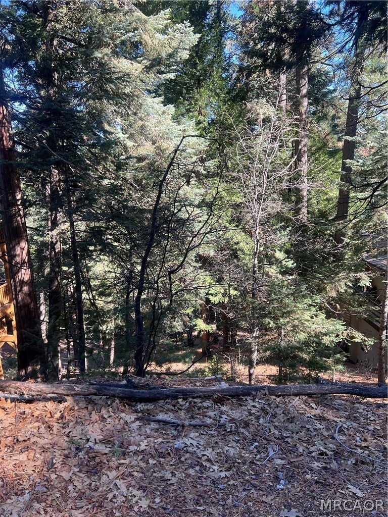 Photo of 0 Forest, Twin Peaks, CA 02391 (MLS # 32600855)