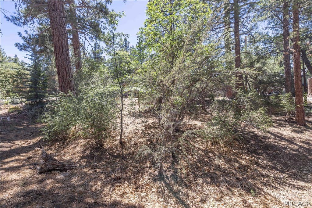Photo of 810 Vista Avenue, Sugarloaf, CA 92386 (MLS # 32601419)