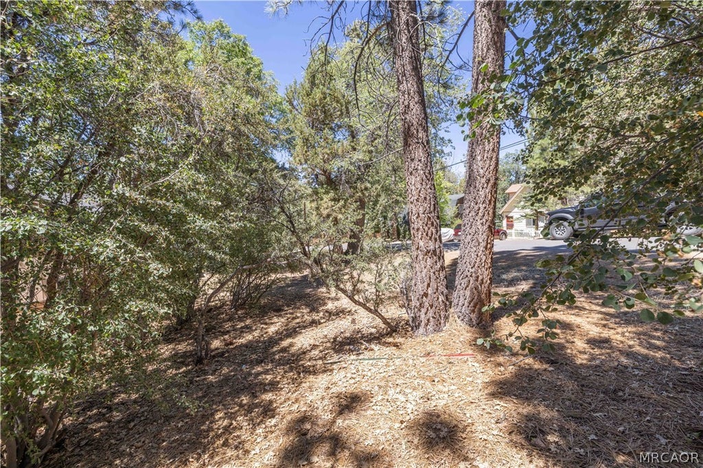 Photo of 810 Vista Avenue, Sugarloaf, CA 92386 (MLS # 32601419)