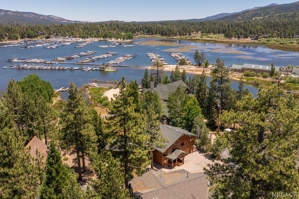Big Bear Lake, California, 92315, United States, 4 Bedrooms Bedrooms, ,4 BathroomsBathrooms,Residential,Active,2028172
