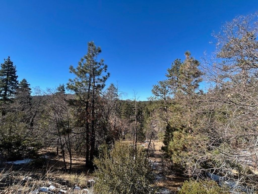 Photo of 0 Bruin Trail, Fawnskin, CA 92333 (MLS # 32300136)