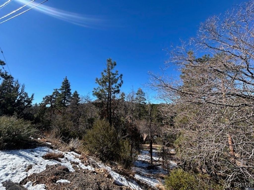 Photo of 0 Bruin Trail, Fawnskin, CA 92333 (MLS # 32300136)