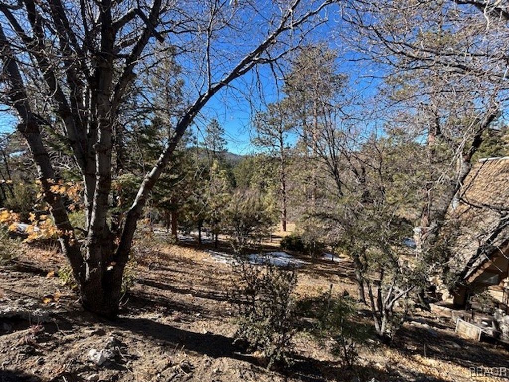 Photo of 0 Bruin Trail, Fawnskin, CA 92333 (MLS # 32300136)