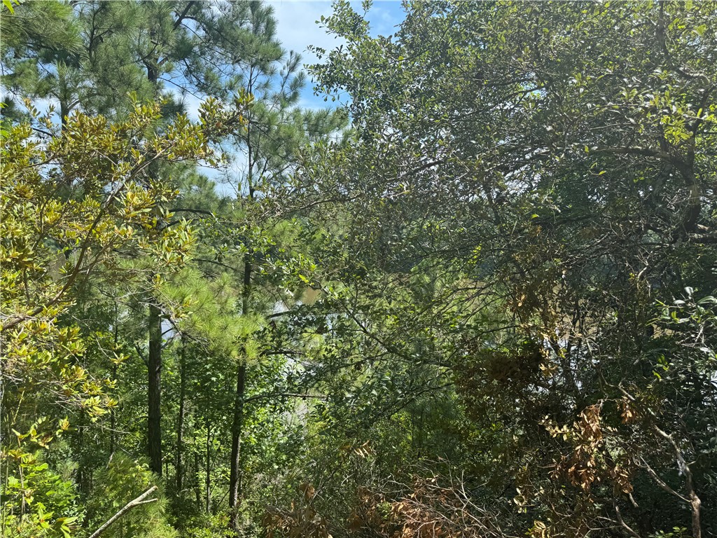 Jesup, Georgia 31545, United States, ,Land,Active,127643