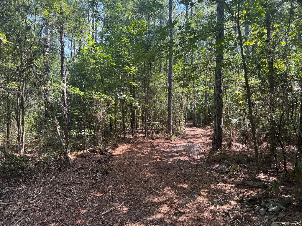 Jesup, Georgia 31545, United States, ,Land,Active,127643