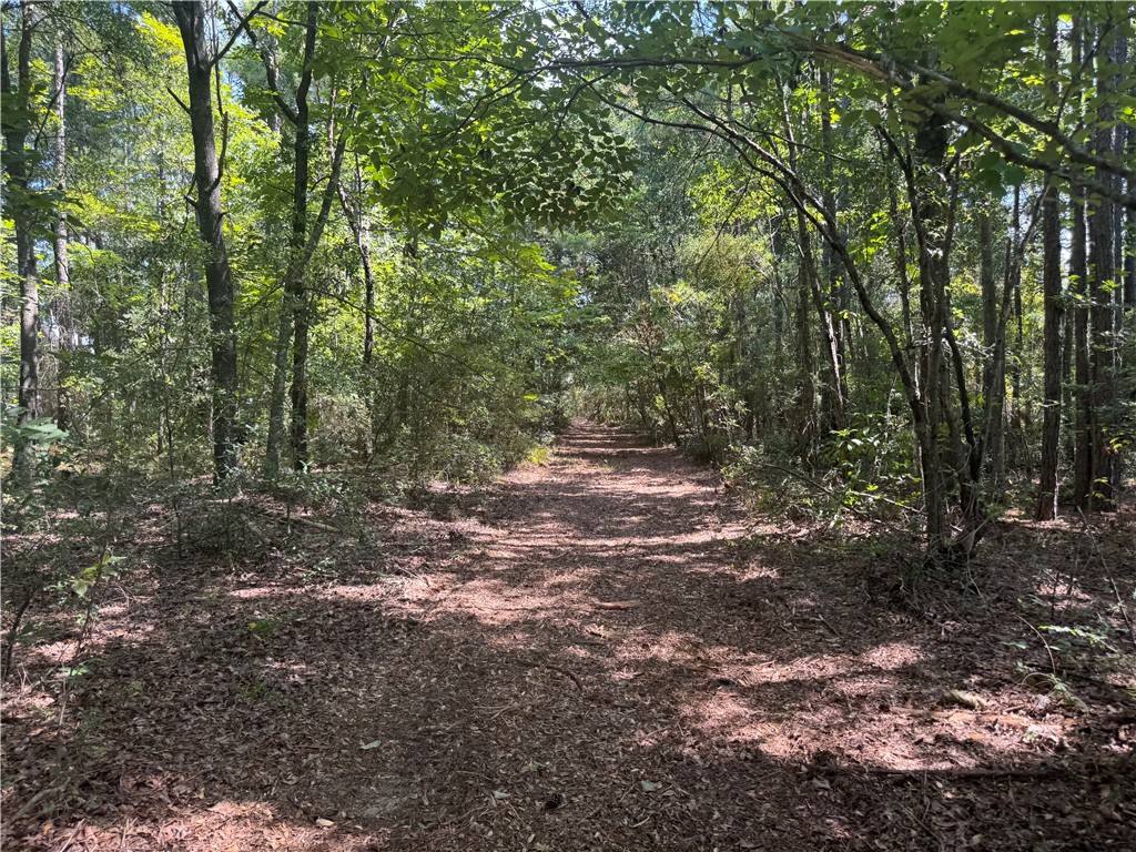 Jesup, Georgia 31545, United States, ,Land,Active,127643