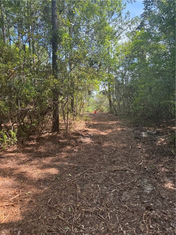 Jesup, Georgia 31545, United States, ,Land,Active,127643