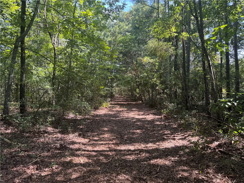 Jesup, Georgia 31545, United States, ,Land,Active,127643