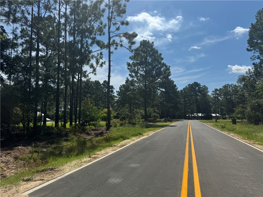 Jesup, Georgia 31545, United States, ,Land,Active,127643