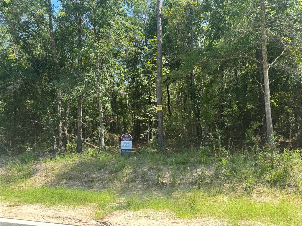 Jesup, Georgia 31545, United States, ,Land,Active,127643