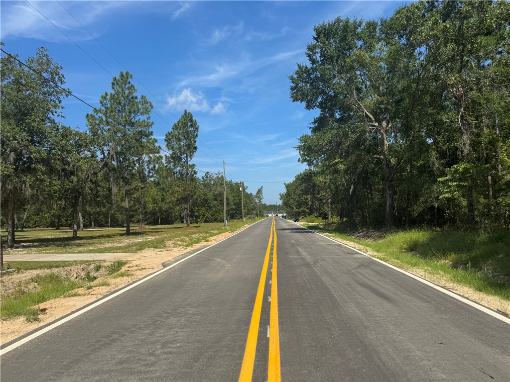 Jesup, Georgia 31545, United States, ,Land,Active,127643