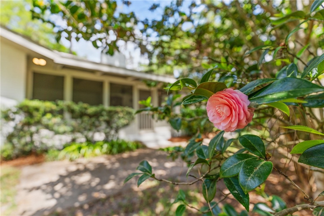 St Simons Island, Georgia 31522, United States, 3 Bedrooms Bedrooms, ,2 BathroomsBathrooms,Residential,Active,107800