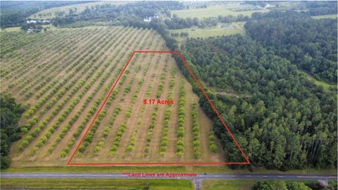 Featured picture for the property 1655081