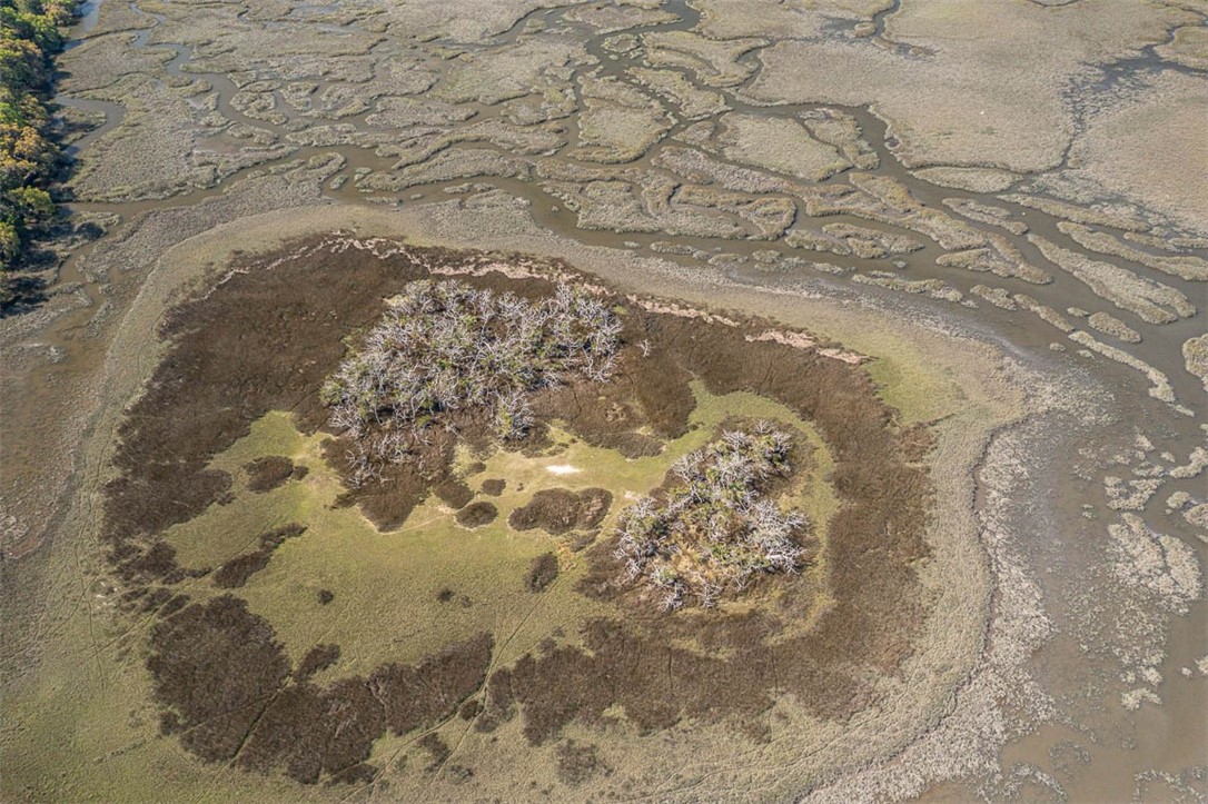 Townsend, Georgia 31331, United States, 2 Bedrooms Bedrooms, ,2 BathroomsBathrooms,Residential,Active,111433