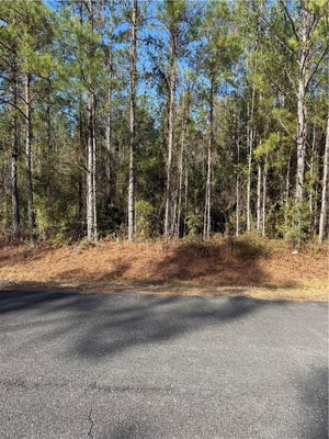 23 HERITAGE CIR, HORTENSE, GA 31543 - Image 5f554c8ddd5d49978ca2abdd73185041/4257011622