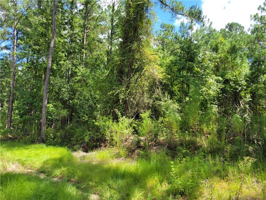 WINN CLAY DR, WAYCROSS, GA 31501 - Image 7c6f7eb7fd23e66fae9d2c99ca615ca3/2986810552