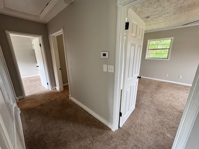 Brunswick, Georgia 31525, United States, 3 Bedrooms Bedrooms, ,3 BathroomsBathrooms,Residential,Active,157044