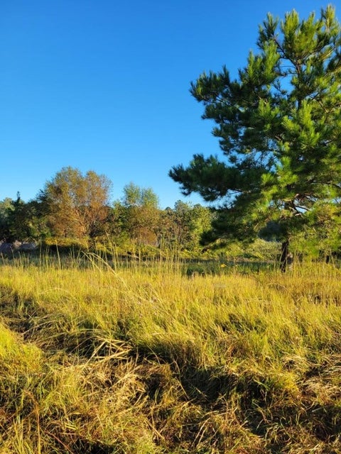 Featured picture for the property 1648380