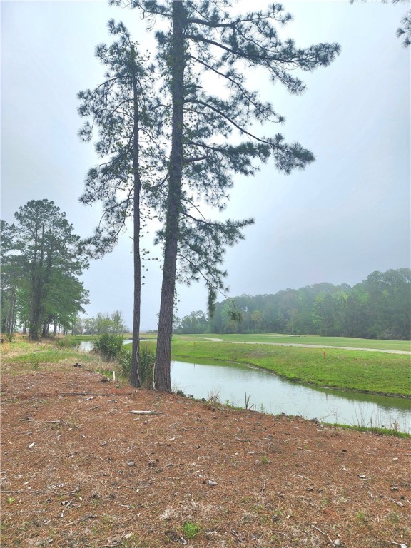 Waverly, Georgia 31565, United States, ,Land,Active,102805