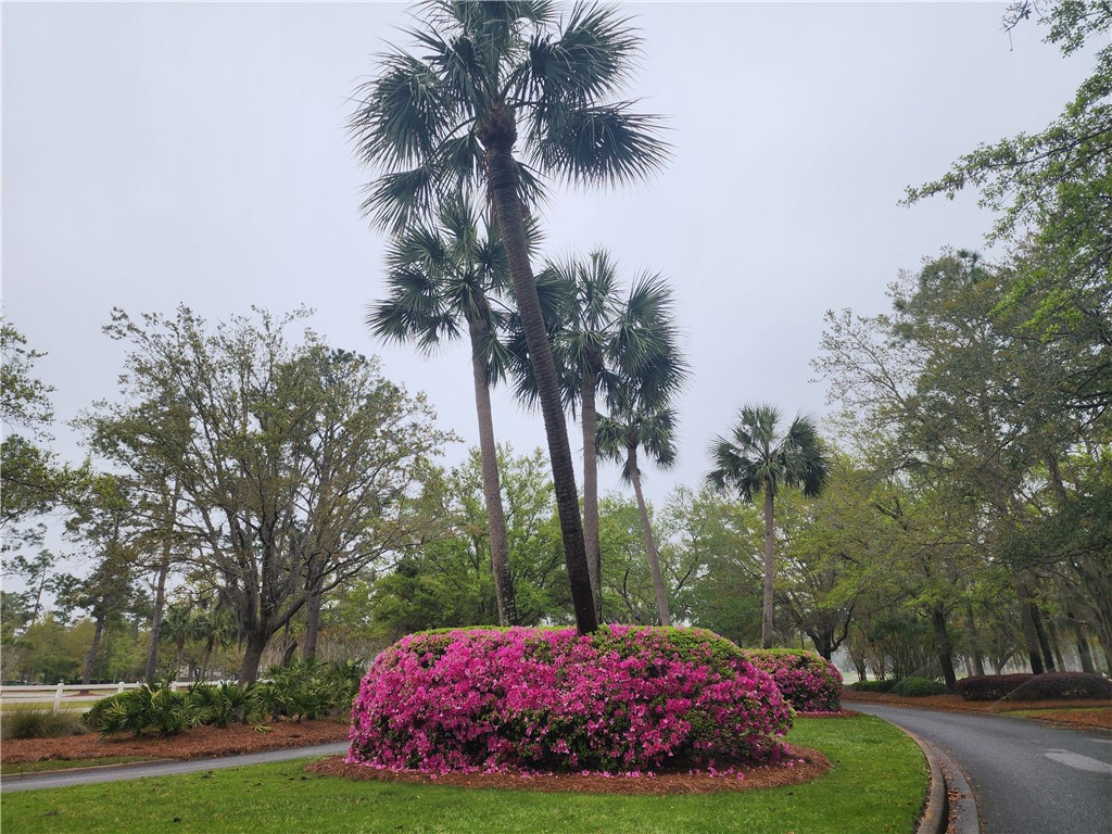 Waverly, Georgia 31565, United States, ,Land,Active,102805