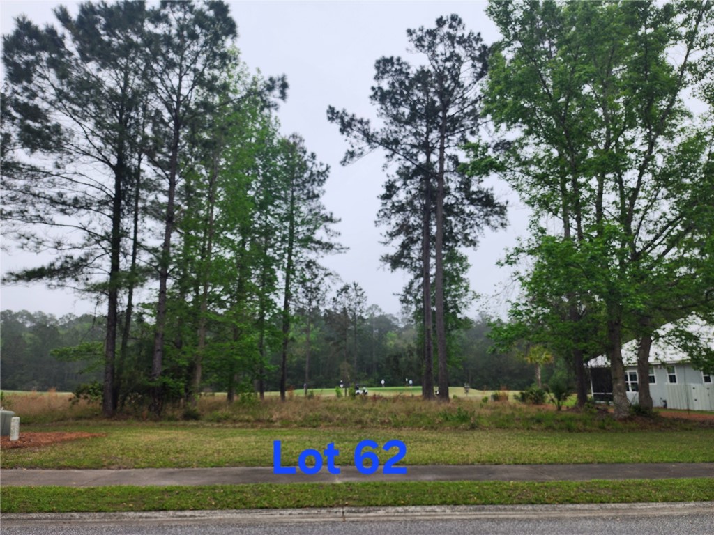 Waverly, Georgia 31565, United States, ,Land,Active,102805