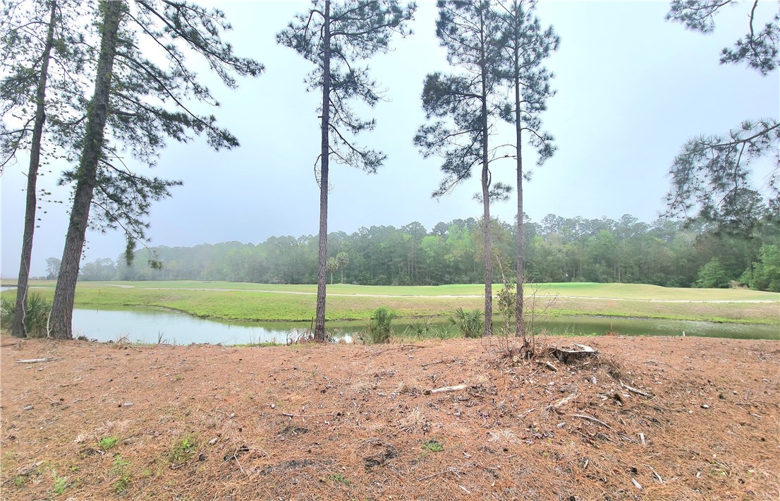 Waverly, Georgia 31565, United States, ,Land,Active,102805