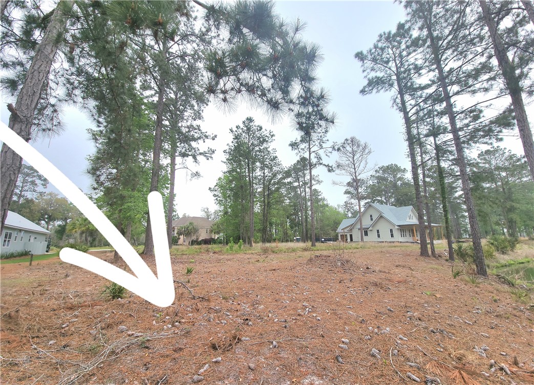 Waverly, Georgia 31565, United States, ,Land,Active,102805