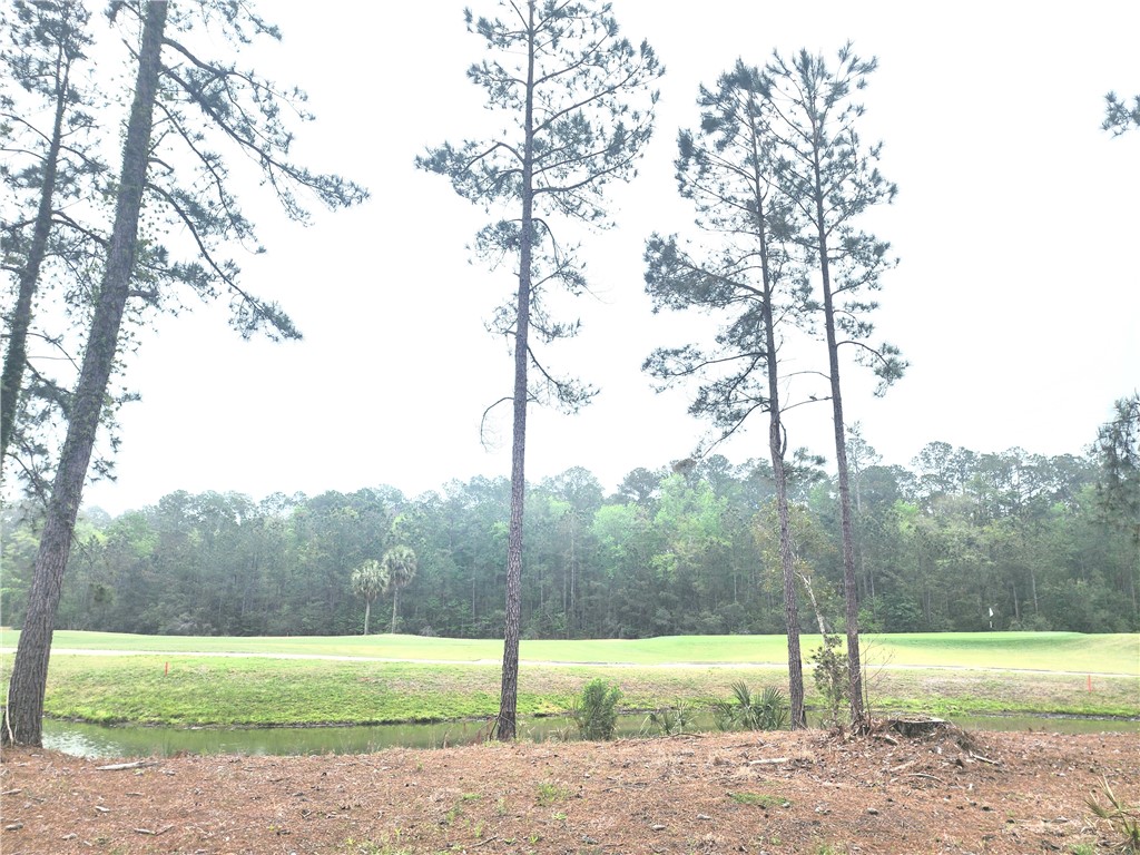 Waverly, Georgia 31565, United States, ,Land,Active,102805