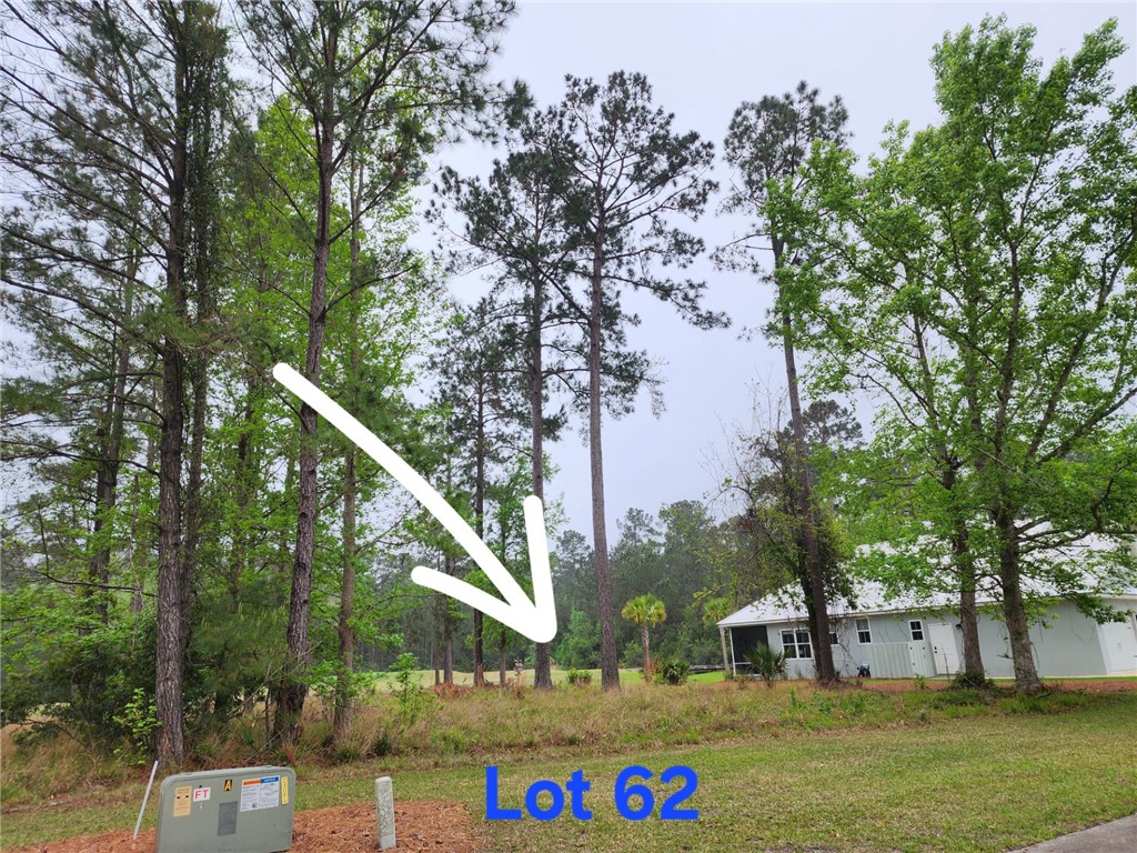 Waverly, Georgia 31565, United States, ,Land,Active,102805